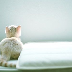 Meet your Posher, Geraldine